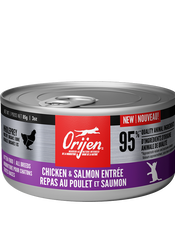 Repas au poulet et saumon pour chatons